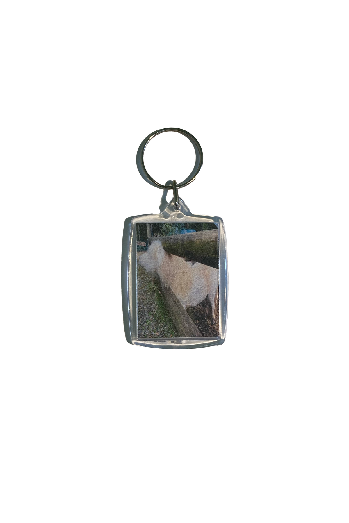 Feaath Keychain